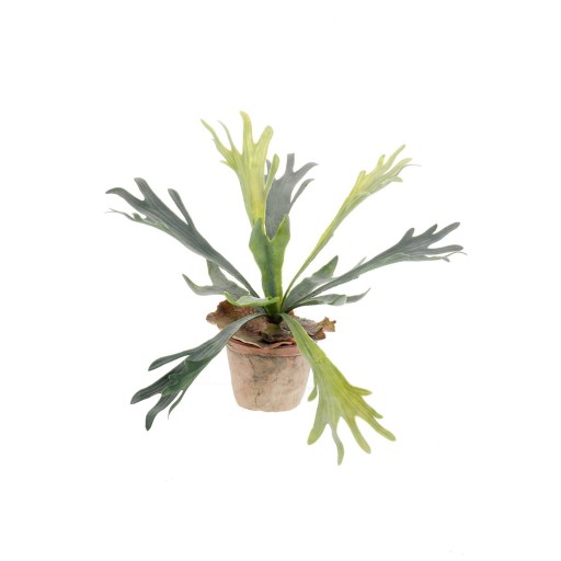 Kunstplant - Staghorn Fern - Hertshoorn - 33 cm