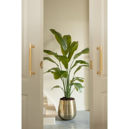 Strelitzia Kunstplant 180cm Deluxe