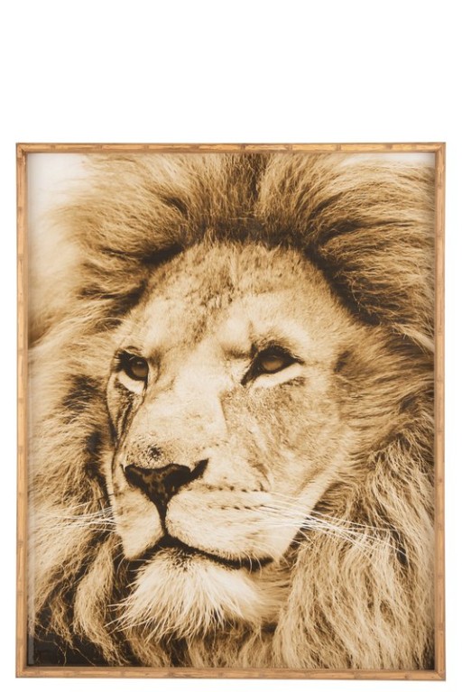 J-Line Wall decoration Lion Wood/Glass Brown