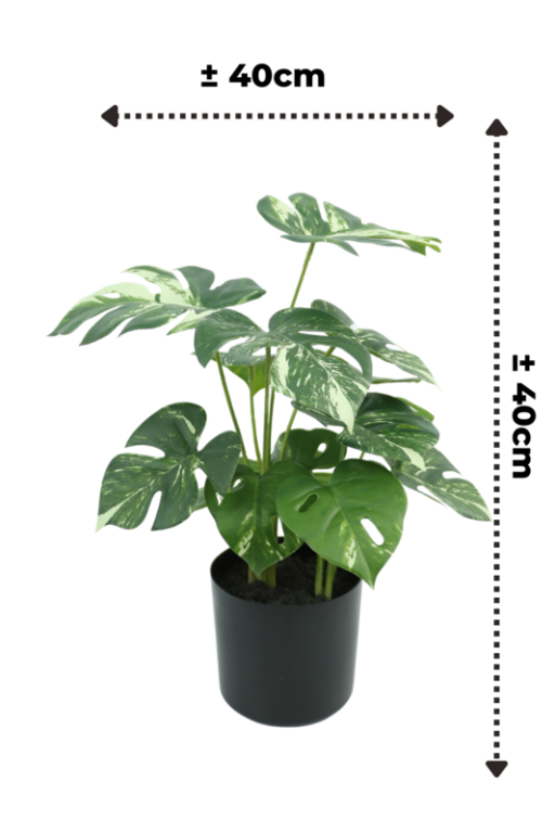 Monstera Artificial plant 40cm