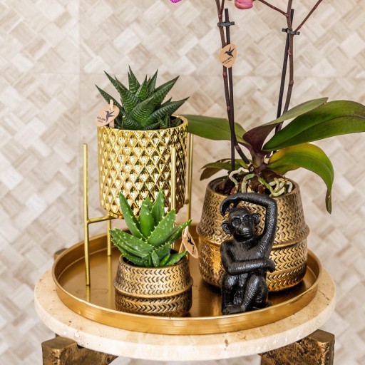 Kolibri Home | Decoratieschaal - Rond gouden dienblad Ø30cm