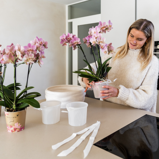 Kolibri Orchids | witte orchideeënset in Como dish incl. waterreservoir | drie witte orchideeën Amabilis 9cm | Mono Bouquet wit met zelfvoorzienend waterreservoir