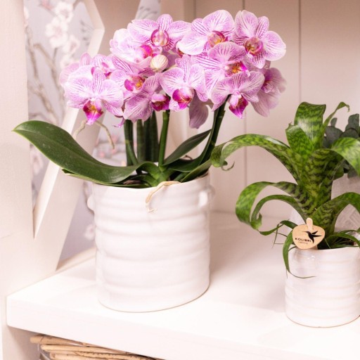 Kolibri Home | Jug bloempot - Witte keramieken sierpot Ø9cm