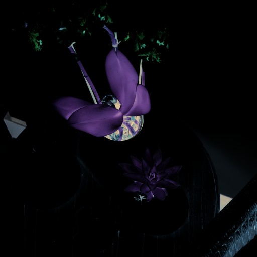 Kolibri Home | Plate oval - Ovale dienblad Ø30cm - White