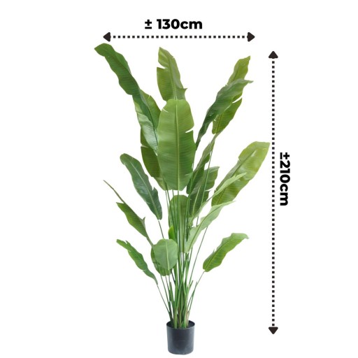 Strelitzia Kunstplant 210cm