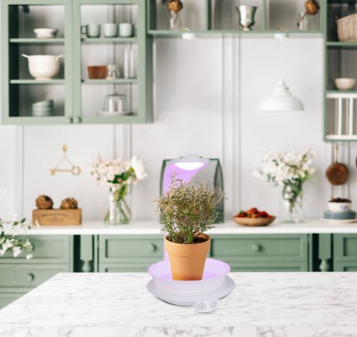 LED plant tablet light 24 cm high, made of metal and plastic in white, with integrated LED