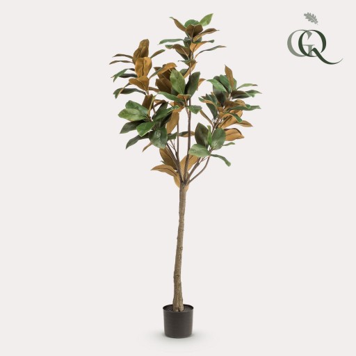 Kunstplant - Magnolia Grandiflora - 150 cm