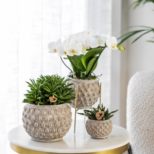 Kolibri Home | Plantenstandaard - Gouden metalen planten verhoging Ø12cm