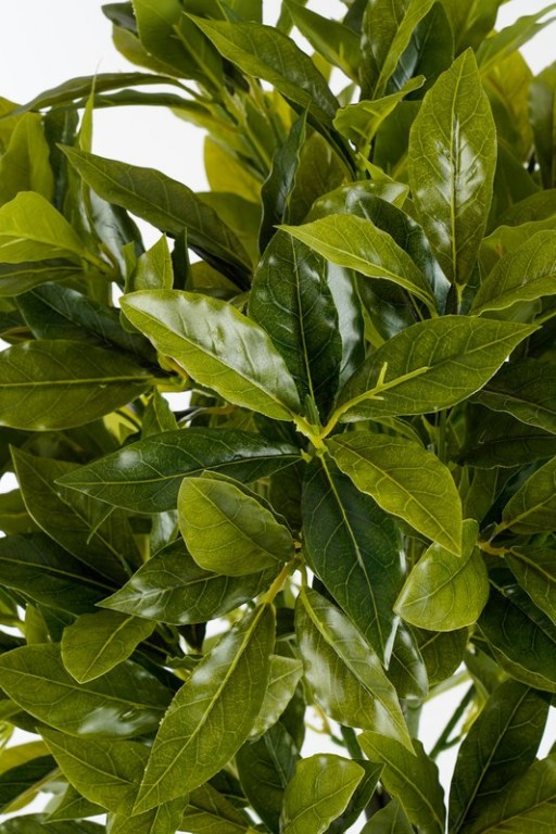 Laurel tree artificial plant - H120 x Ø40 cm - Green