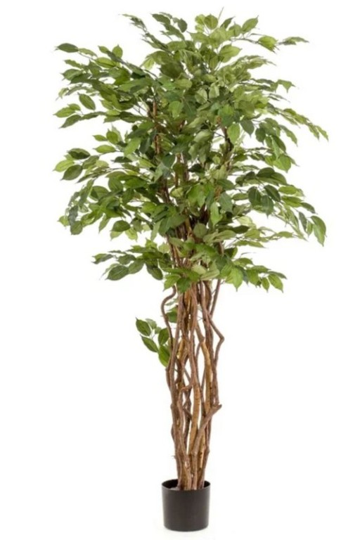 Ficus Liana Artificial Tree 170cm