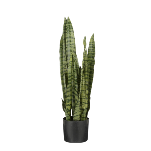 Kunstplant Sanseveria in Bloempot | Vrouwentong H80 x Ø15 cm | Groen