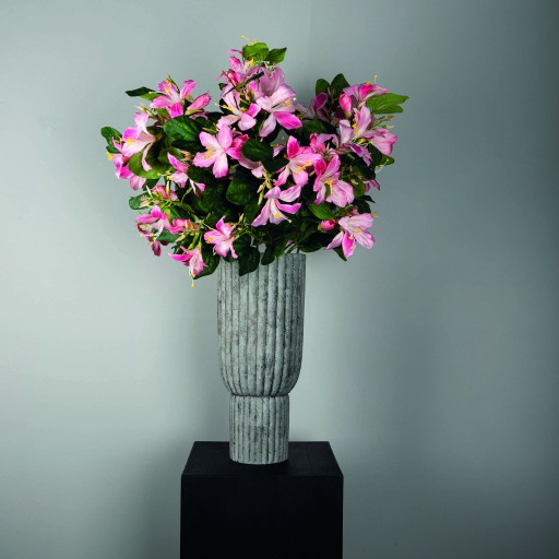 Garden Flower Pink Bauhinia Spray With Leaves