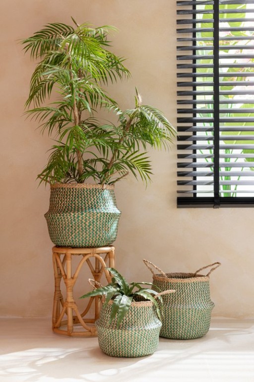 J-Line Bergpalm in Pot Plastic Green/Black Large