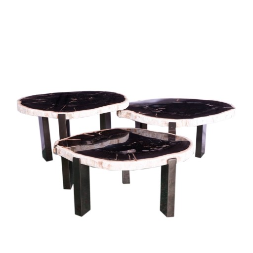 Rudi Grey Petrified Wood Coffeetable Nickel SV3 | Luxe Houten Koffietafel | PTMD - Product afbeelding