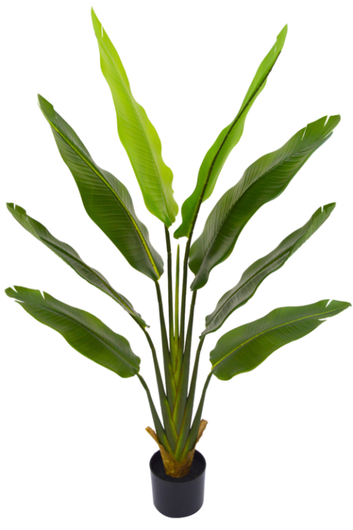 Artificial Strelitzia Plant 140cm