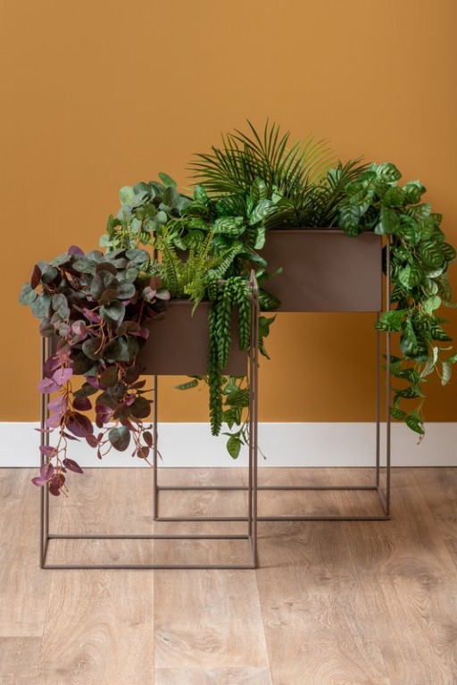 Plant Pot Set Essence Straight