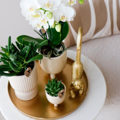 Kolibri Home | Decoratieschaal - Rond gouden dienblad Ø30cm