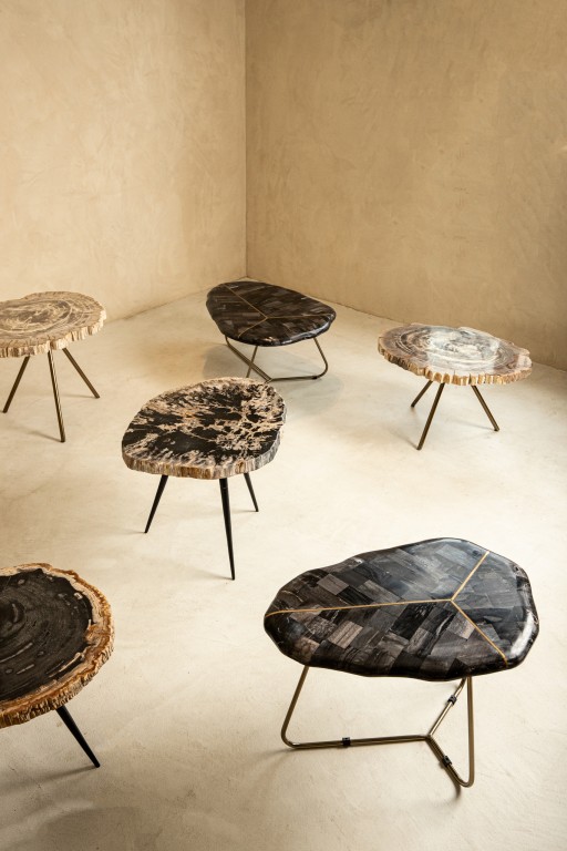 New Khine Petrified Wood Coffee Table Brass SV3