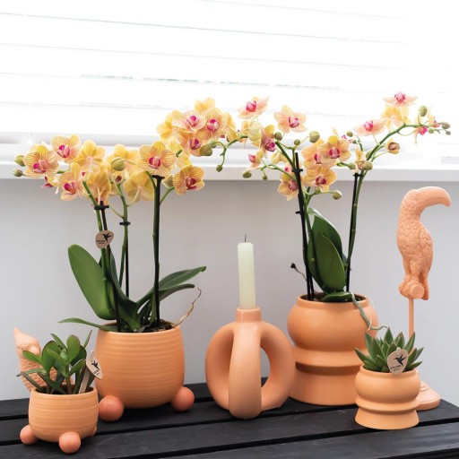 Kolibri Home | Rolling peach bloempot - Peach kleurige keramieken sierpot Ø6cm