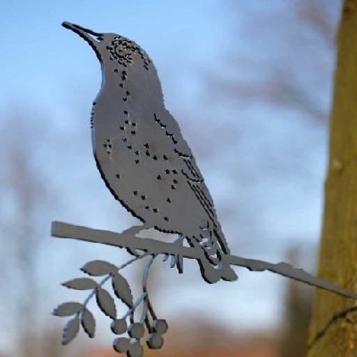 Lucky Starling/Starling 1304, 340 mm wide - 2 mm thick