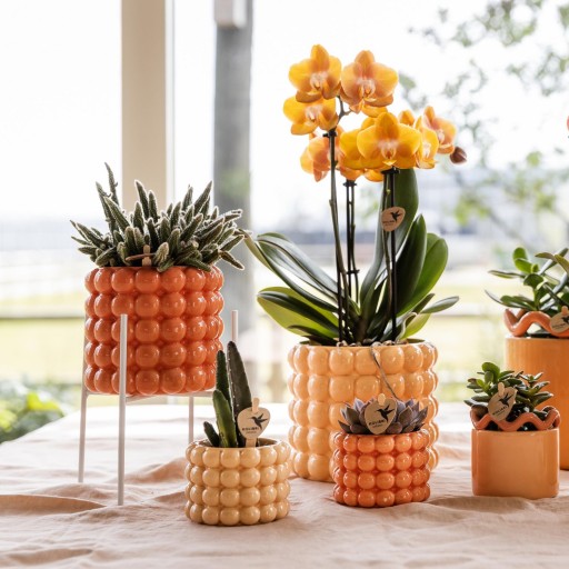 Kolibri Home | Plantenstandaard - Wit metalen planten verhoging Ø12cm