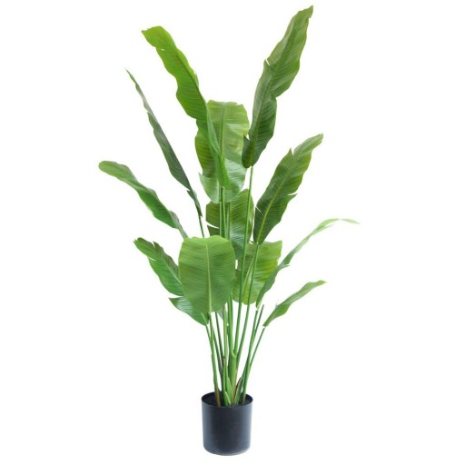 Strelitzia Kunstplant 165cm