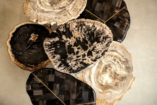 New Khine Petrified Wood Coffee Table Brass SV3