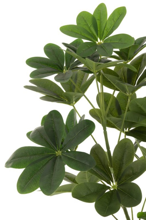 J-Line Money Tree In Pot Plastic Green Large