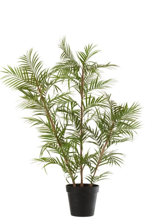 J-Line Bergpalm in Pot Plastic Green/Black Large