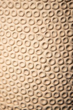 Laim Cream Cement Round Pot Dots Pattern On Base L