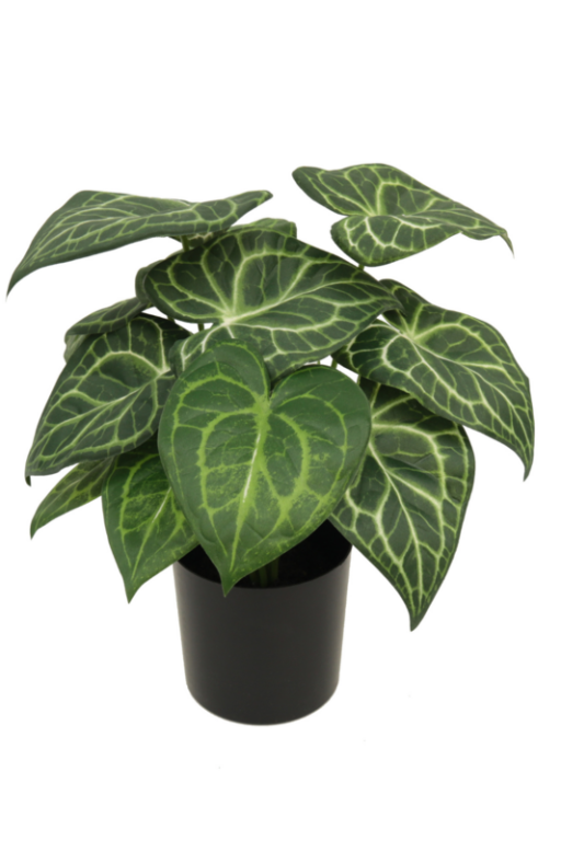 Syngonium Kunstplant 30 cm