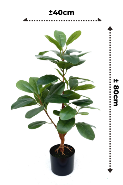 Ficus Artificial plant 80cm