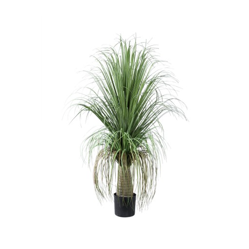 Decoratieve Groene Plant | Ui Gras op Kokospalm B 70x101x74 cm - Product afbeelding