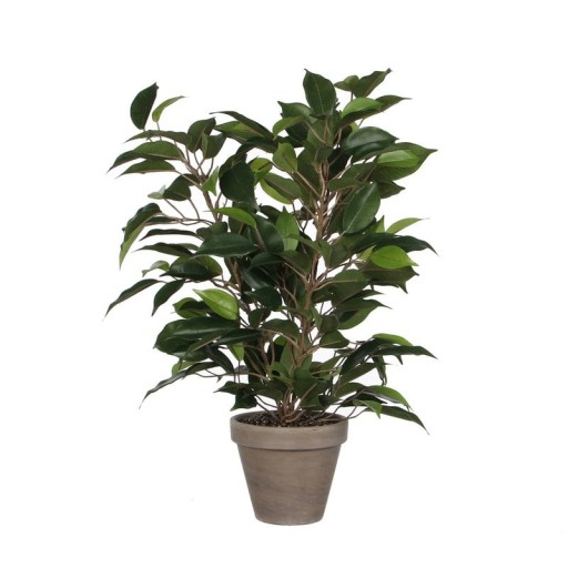 Kunstplant Ficus Natasja in Stan Bloempot | H40 x Ø30 cm - Groen