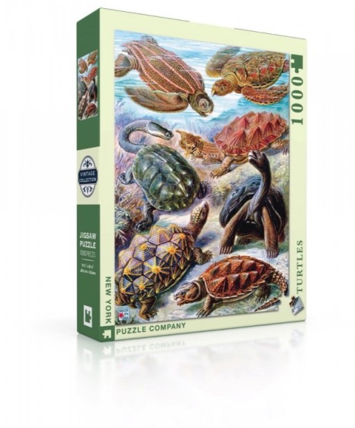 New York Puzzle Company Turtles - 1000 pieces