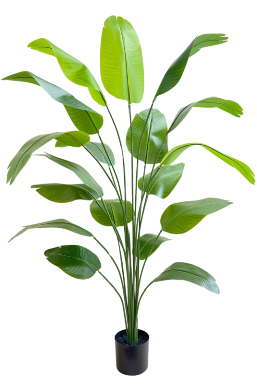 Pre-order art banana plant 180cm