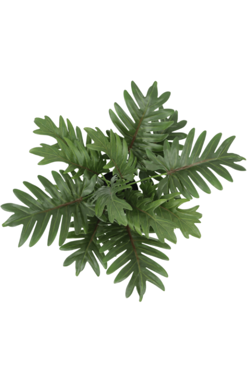 Philodendron artificial plant 40cm