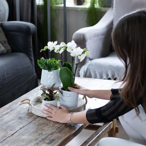 Kolibri Home | Jug bloempot - Witte keramieken sierpot Ø9cm