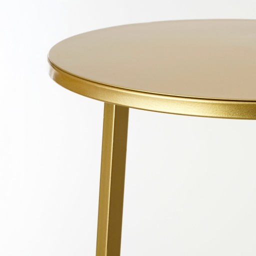 Adine Planttafel - H120 x Ø35 cm - Goud