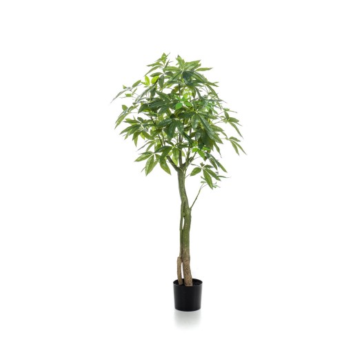 Kunstplant - Pachira Aquatica - Geldboom - 150 cm