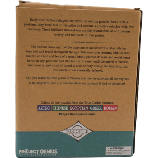 Brainteaser Minotaur's Labyrinth, Project Genius, TG420