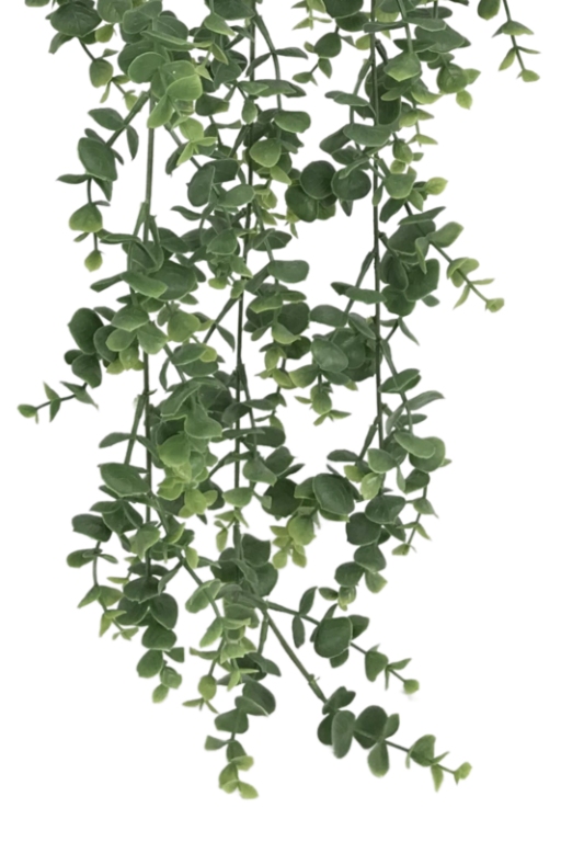 Eucalyptus Artificial Hanging Plant 60cm