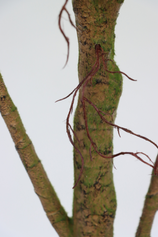 Ficus Artificial plant 180cm