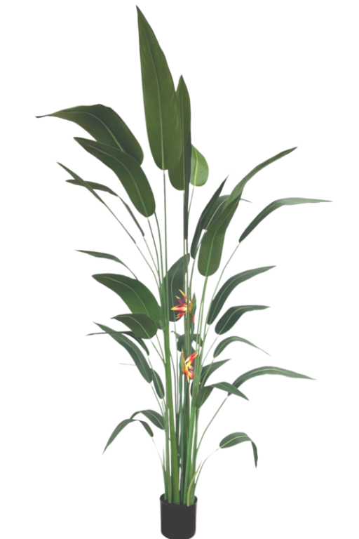 Strelitzia Artificial Plant With Flower 210cm