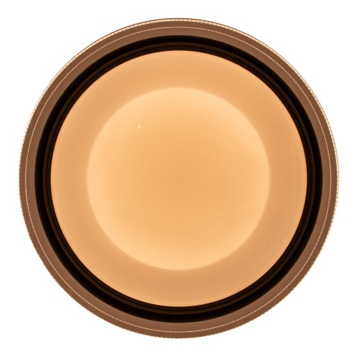 LED -plafondlicht "Canna" gemaakt van metaal en plastic, dimbaar met afstandsbediening, kleurverandering van warm wit naar koud wit naar kleurrijk, stevig ingebouwd -in LED's, plafondlamp voor woonkamer, eetkamer, keuken of gang met 45 cm diameter