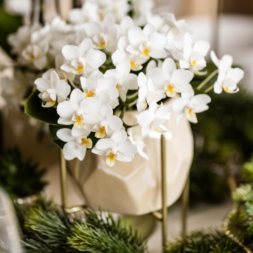 Kolibri Home | Plantenstandaard - Gouden metalen planten verhoging Ø12cm