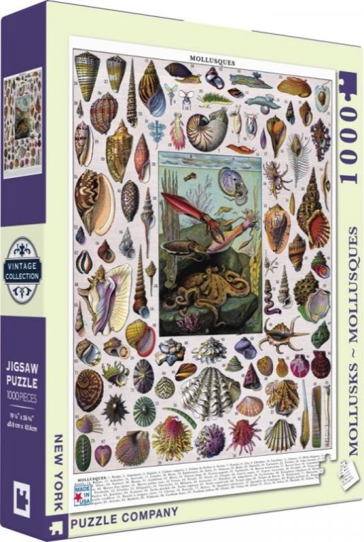 New York Puzzle Company Mollusks - 1000 pieces