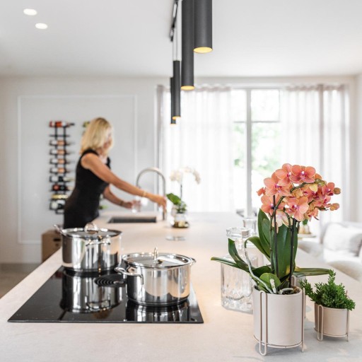 Kolibri Orchids | COMBI DEAL van 2 oranje Phalaenopsis orchideeën - Bolzano - potmaat Ø9cm bloeiende kamerplant - vers van de kweker