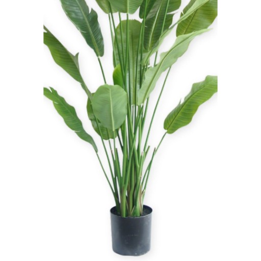 Strelitzia Kunstplant 210cm