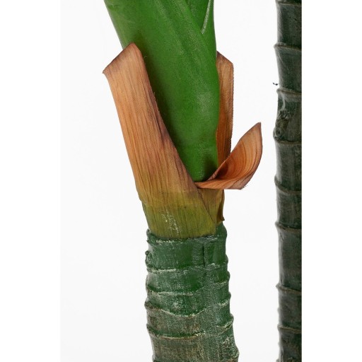 Dieffenbachia Kunstplant - H150 x Ø70 cm